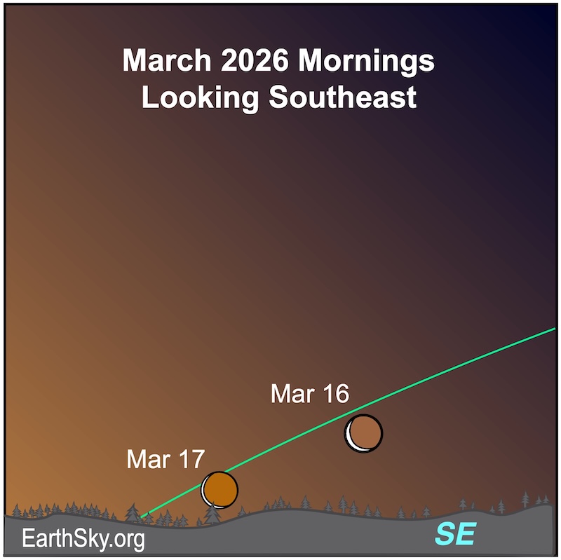 Your Guide to March 10: Celebrating Unique Holidays & Key Awareness Days